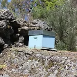 Da Quinta 度假居