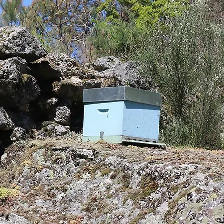 Da Quinta Hébergement de vacances