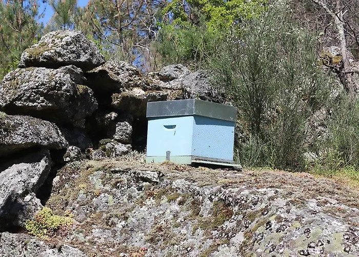 Da Quinta Сasa de vacaciones